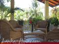 PALM GROVE Guesthouse