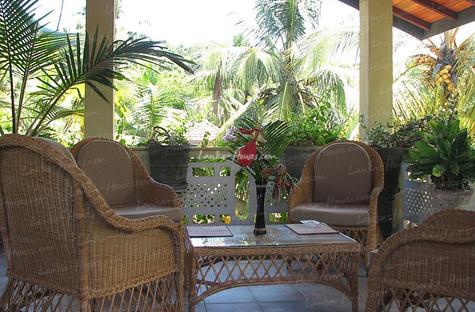 PALM GROVE Guesthouse PALM GROVE Guesthouse