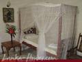 PALM GROVE Guesthouse