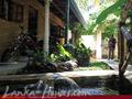 PALM GROVE Guesthouse