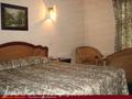 ALPINE Hotel***