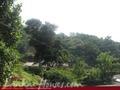 NATURE WALK Resort