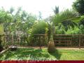 NATURE WALK Resort