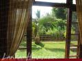 NATURE WALK Resort