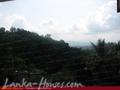 NATURE WALK Resort