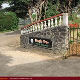 SINGLE TREE Hotel
