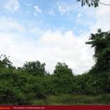 Land for sale. 5 km from Tangale. 4.5 acre