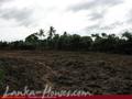 Land for sale. 5 km from Tangale. 4.5 acre