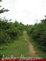 Land for sale. 5 km from Tangale. 4.5 acre
