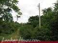 Land for sale. 5 km from Tangale. 4.5 acre