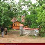Green land for sale. 5 acre.