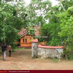 Green land for sale. 5 acre.