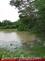 Green land for sale. 5 acre.