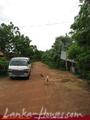 Green land for sale. 5 acre.