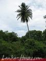 2.5 acre land in paddy fields