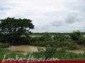 2.5 acre land in paddy fields