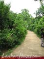 2.5 acre land in paddy fields
