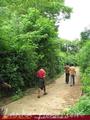 2.5 acre land in paddy fields