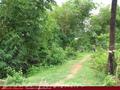 2.5 acre land in paddy fields