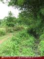 2.5 acre land in paddy fields