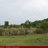 Bare land on the Yoda lake near Kirinda. 2.5 acre