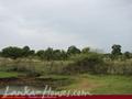 Bare land on the Yoda lake near Kirinda. 2.5 acre