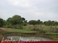 Bare land on the Yoda lake near Kirinda. 2.5 acre