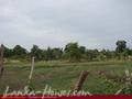 Bare land on the Yoda lake near Kirinda. 2.5 acre