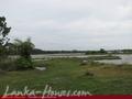 Bare land on the Yoda lake near Kirinda. 2.5 acre
