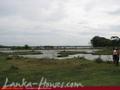 Bare land on the Yoda lake near Kirinda. 2.5 acre