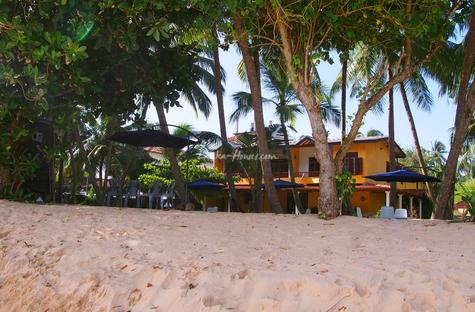 Crazy Coconut Villa Crazy Coconut Villa
