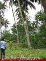Land on the lake. 3 acre