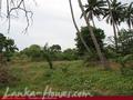 Land on the lake. 3 acre