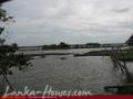 Land on the lake. 3 acre