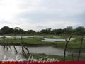 Land on the lake. 3 acre
