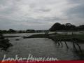 Land on the lake. 3 acre