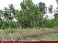 Land on the lake. 3 acre