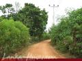 Land on the lake. 3 acre