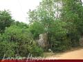 Land on the lake. 3 acre