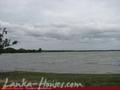 Full Nature garden. Yoda lake. 2 acre