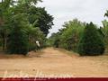 Full Nature garden. Yoda lake. 2 acre