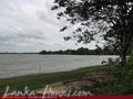 Full Nature garden. Yoda lake. 2 acre