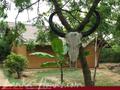 Full Nature garden. Yoda lake. 2 acre