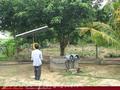 Full Nature garden. Yoda lake. 2 acre