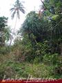 Land with ocean view on the top of the hill in Unawatuna
