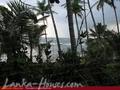 Land with ocean view on the top of the hill in Unawatuna
