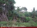 Land with ocean view on the top of the hill in Unawatuna