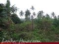 Land with ocean view on the top of the hill in Unawatuna