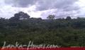 Plateau at the top of the hill