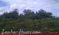 Plateau at the top of the hill